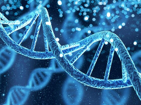 Tay-Sachs and Genetics: Understanding the Connection